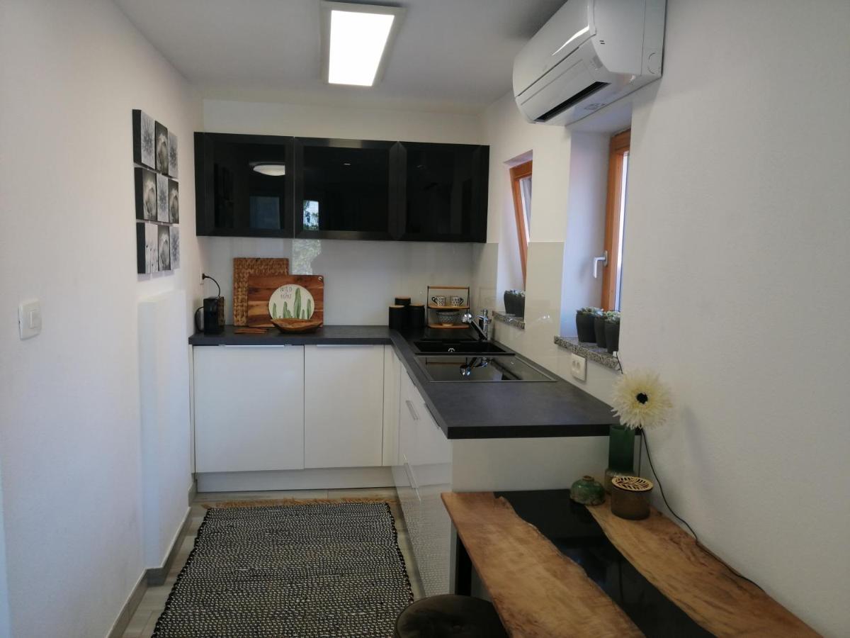 Apartma Medosi イゾラ エクステリア 写真